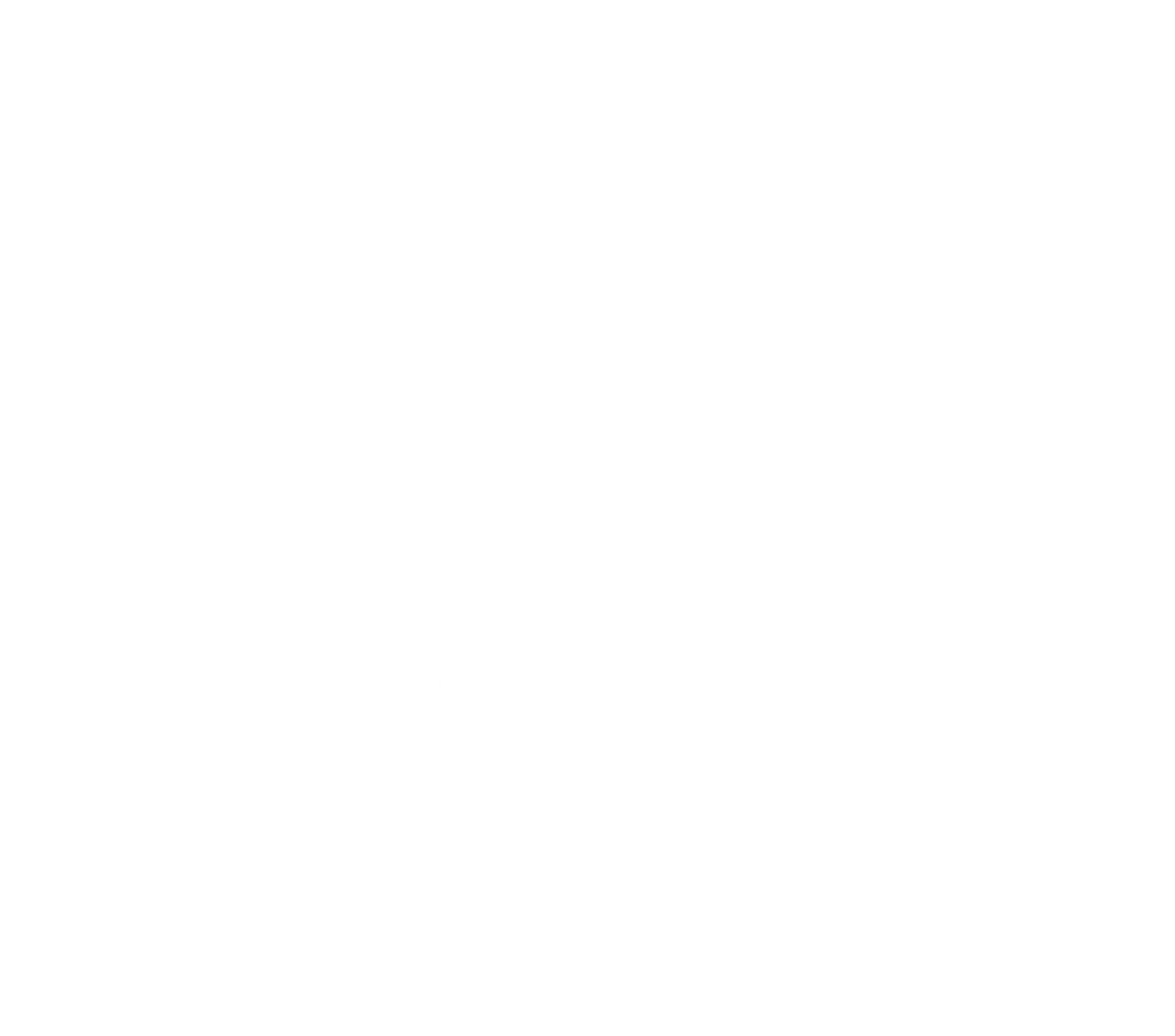 Logo Blanc sur fond transparent Fleurs D't - Fleuriste à Villeparisis